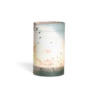 Askerør med strand og fugle