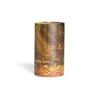 Askerør med skov i brun