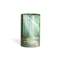 Askerør med skov i grøn