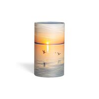 Askerør med hav/solnedgang