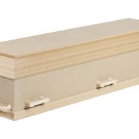 Basiskiste med flex låg