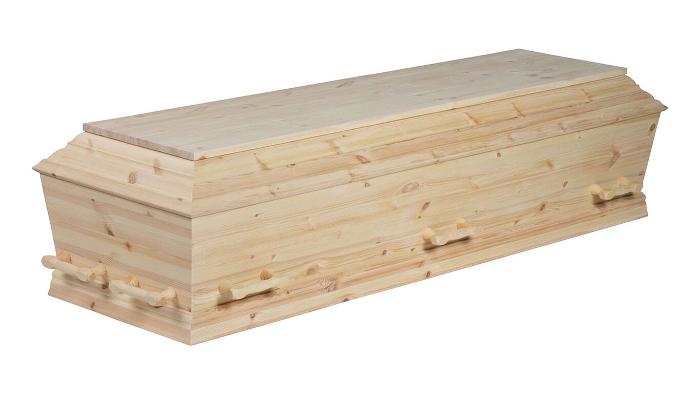 Fyrretræ med knaster