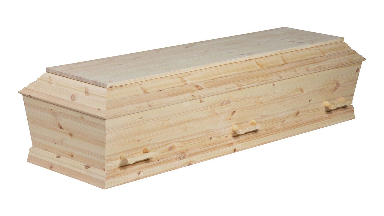 Fyrretræ med knaster