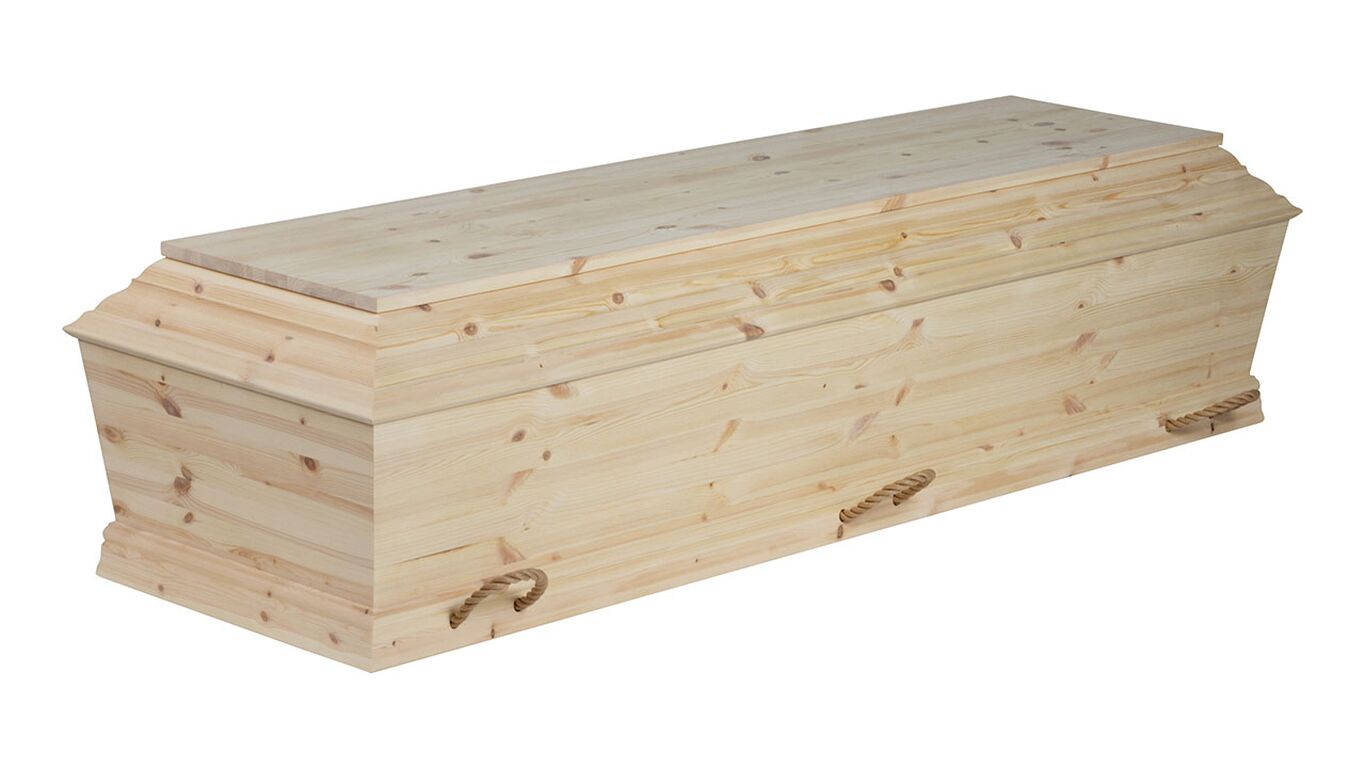 Fyrretræ med knaster