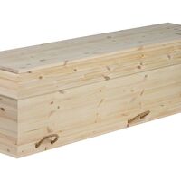 Fyrretræ med knaster