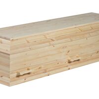 Fyrretræ med knaster