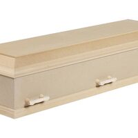 Basiskiste med kremerings låg