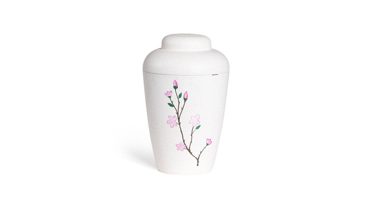 Hvid natururne med æbleblomst