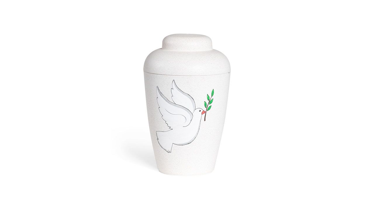 Hvid natururne med due