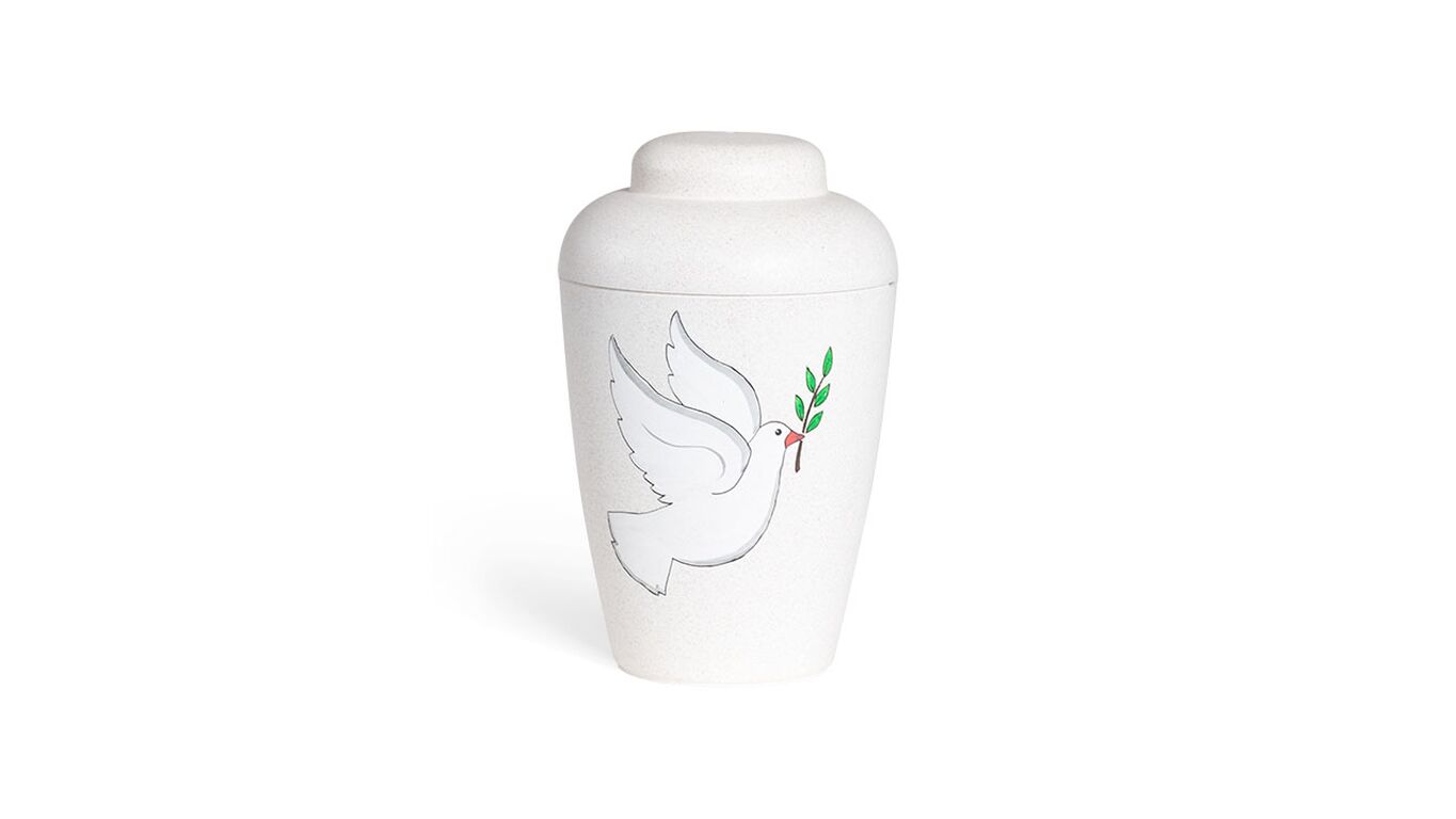 Hvid natururne med due