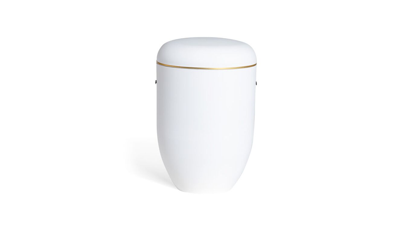 Pludra B gloss cremehvid med guldkant