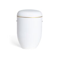 Pludra B gloss cremehvid med guldkant