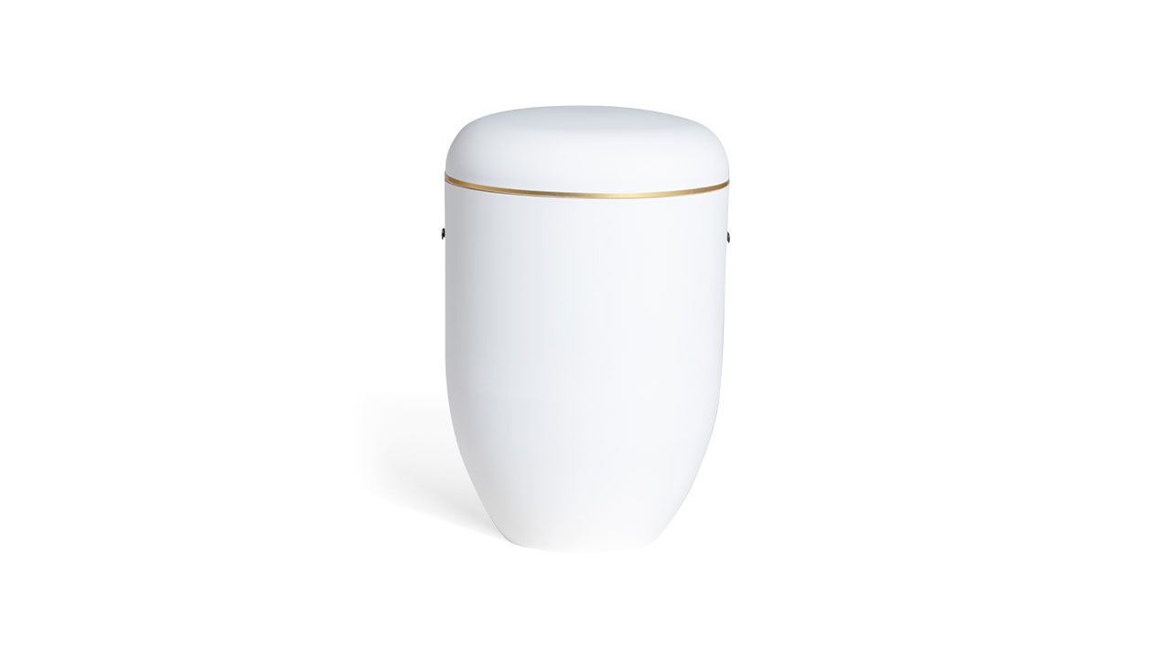 Pludra B gloss cremehvid med guldkant